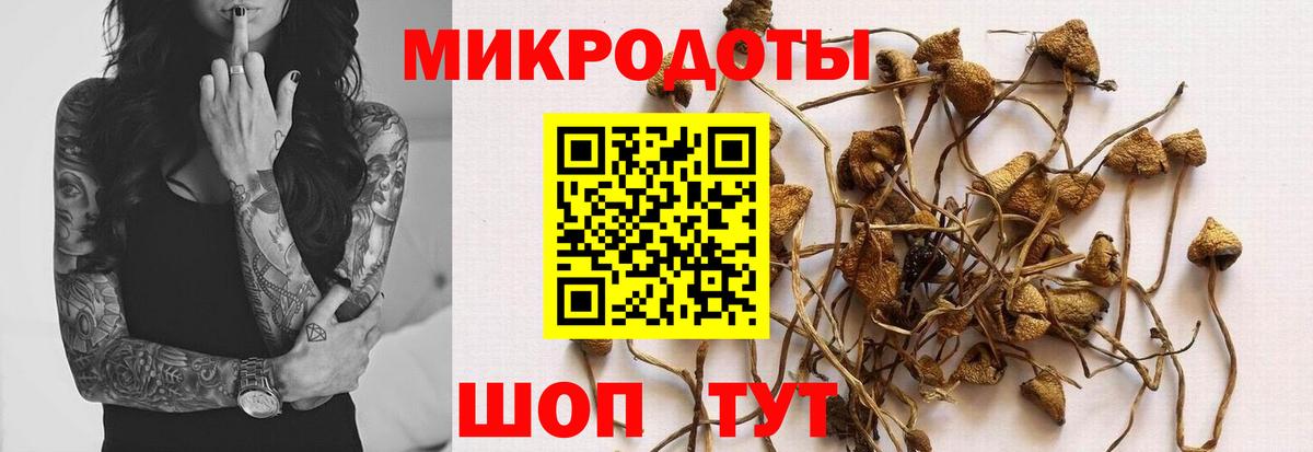 Урюпинск  хочу   Вход с VPN  Псилоцибиновые грибы Magic Shrooms 
